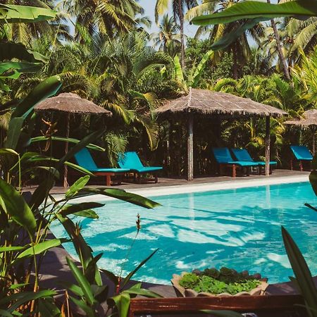 Devarya Wellness Beach Resort Morjim Zewnętrze zdjęcie