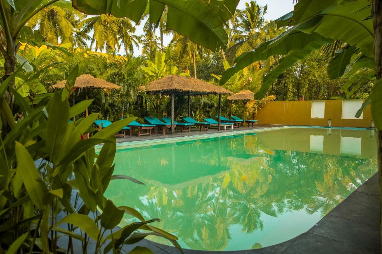 Devarya Wellness Beach Resort Morjim Zewnętrze zdjęcie